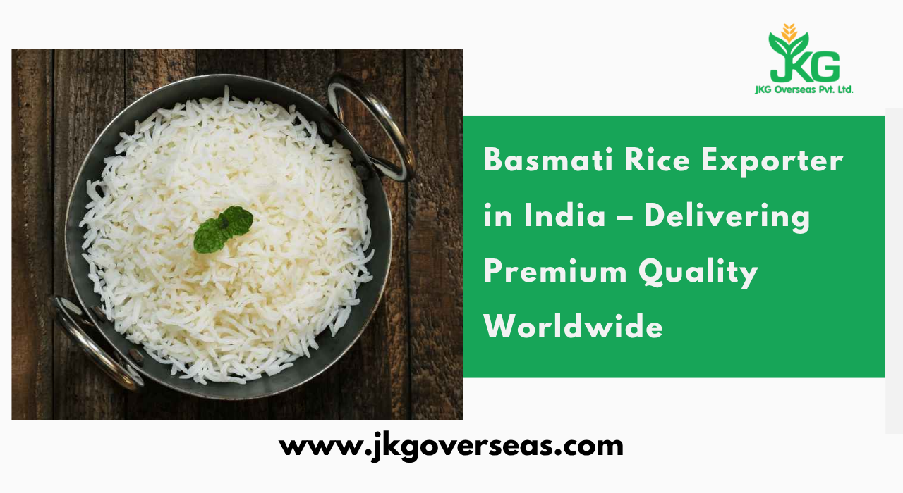 Welcome to JKG Overseas Pvt. Ltd.